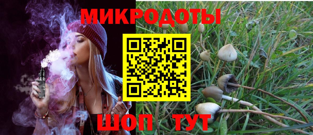 Новодвинск  Галлюциногенные грибы мухоморы  Вход с VPN  Галлюциногенные грибы прущие грибы 
